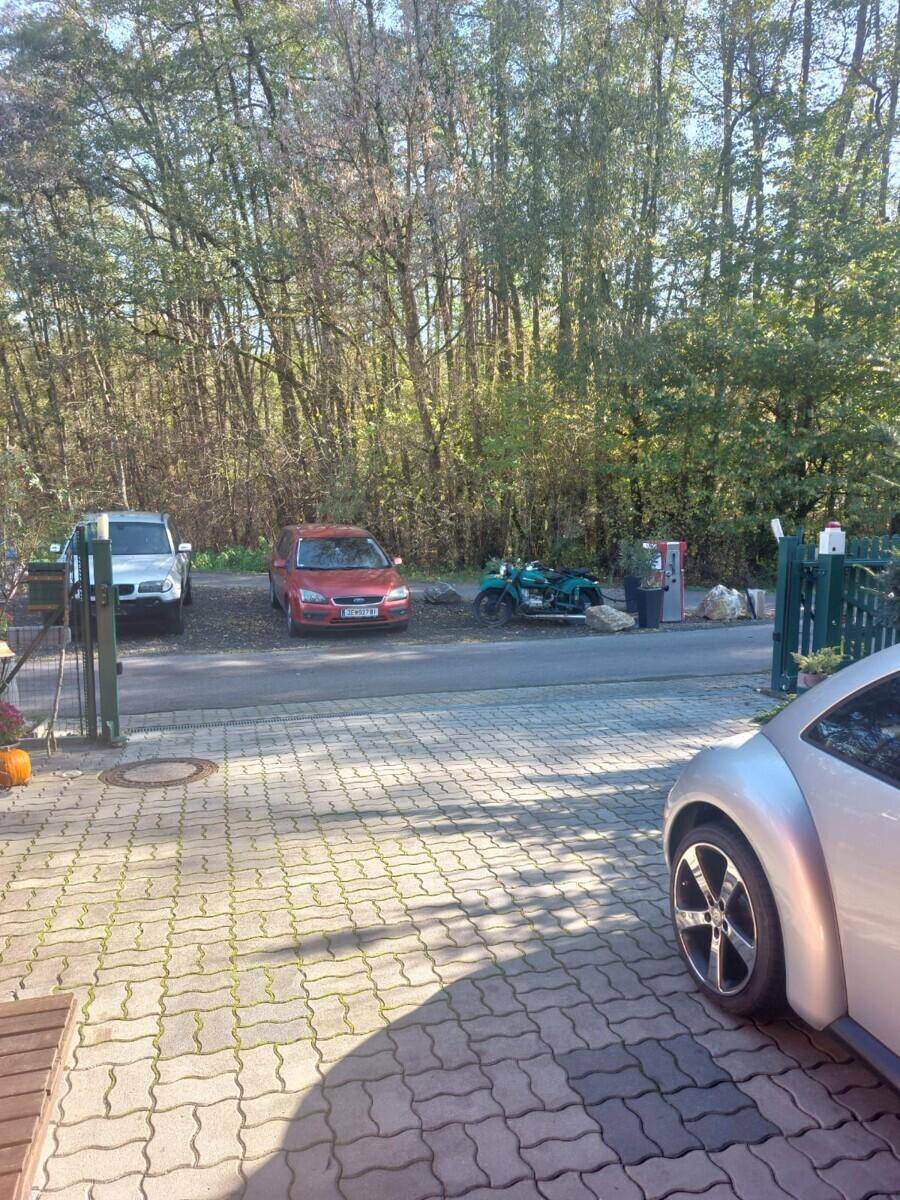 Gepflasterter Außenparkplatz mit mehreren Fahrzeugen, umgeben von hohen Bäumen und viel Grün.
