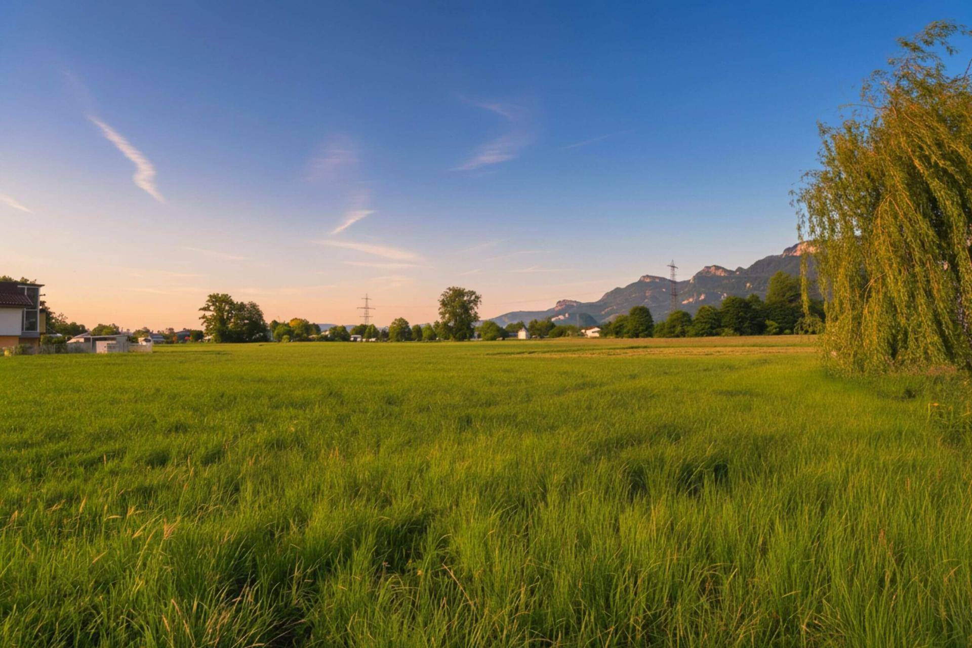 Ruhiges Feld bei Sonnenuntergang mit Blick auf die Berge und eine weite Landschaft.