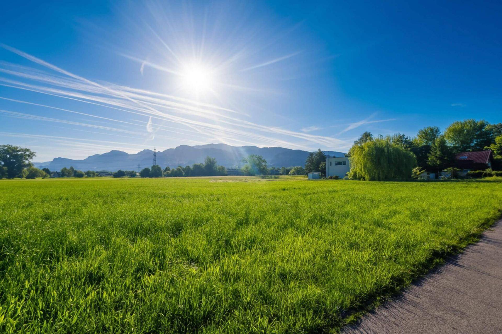 Sonniges Feld mit weitem Blick auf die umliegende Berglandschaft unter strahlend blauem Himmel.