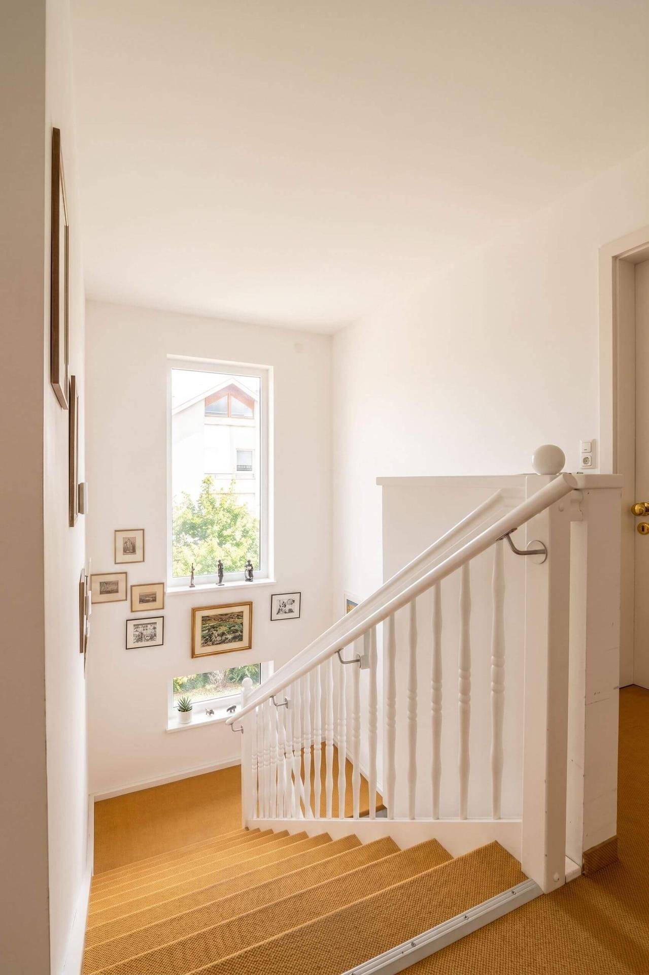 Helle Treppe mit Teppichboden und Fenstern, die viel Licht hereinlassen.