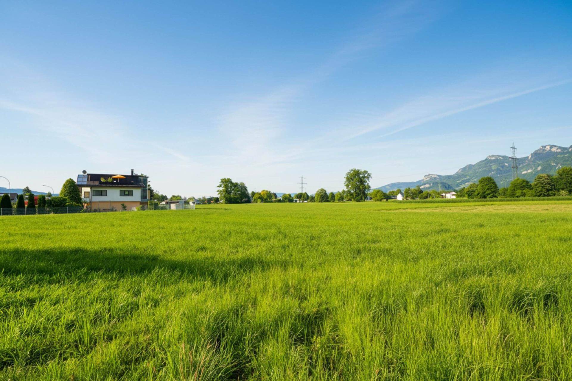 Weitläufiges Feld mit einem Haus und Bergen im Hintergrund an einem sonnigen Tag.