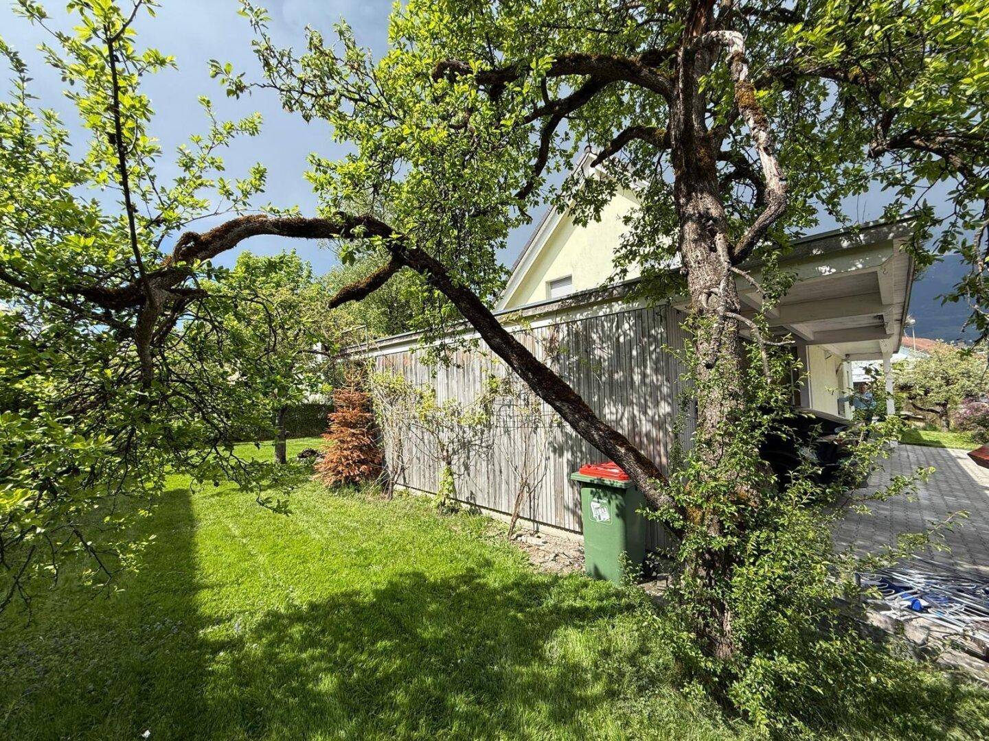 Seitenansicht des Gartens mit altem Baum, Rasenfläche und einem Holzschuppen.