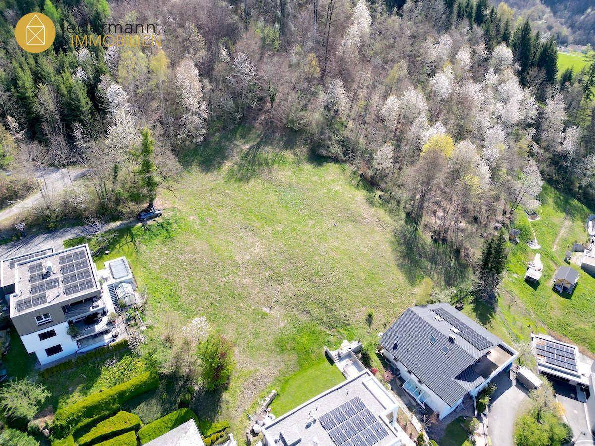 Weitläufiges Grundstück umgeben von Wald und modernen Wohnhäusern mit Solaranlagen.