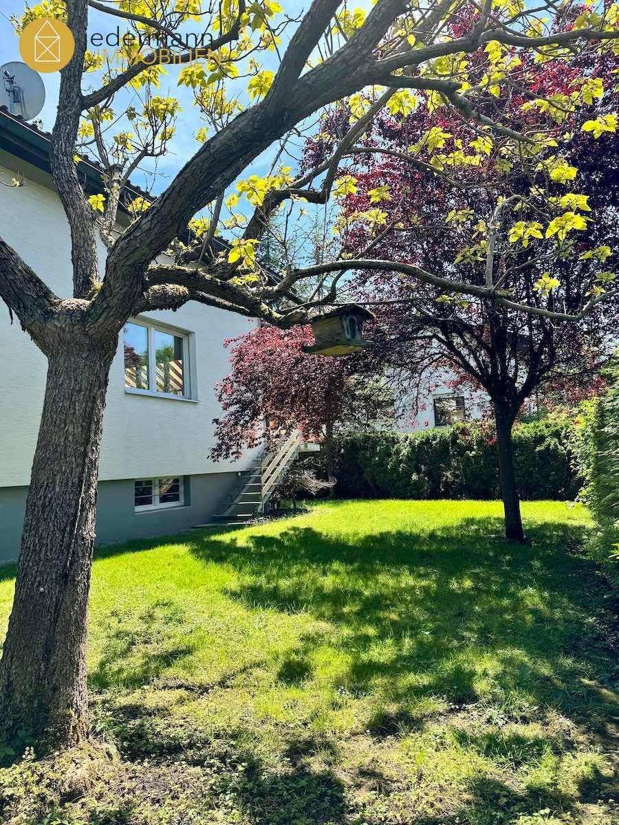 Gepflegter Gartenbereich mit Rasenfläche, Bäumen und viel Grün.