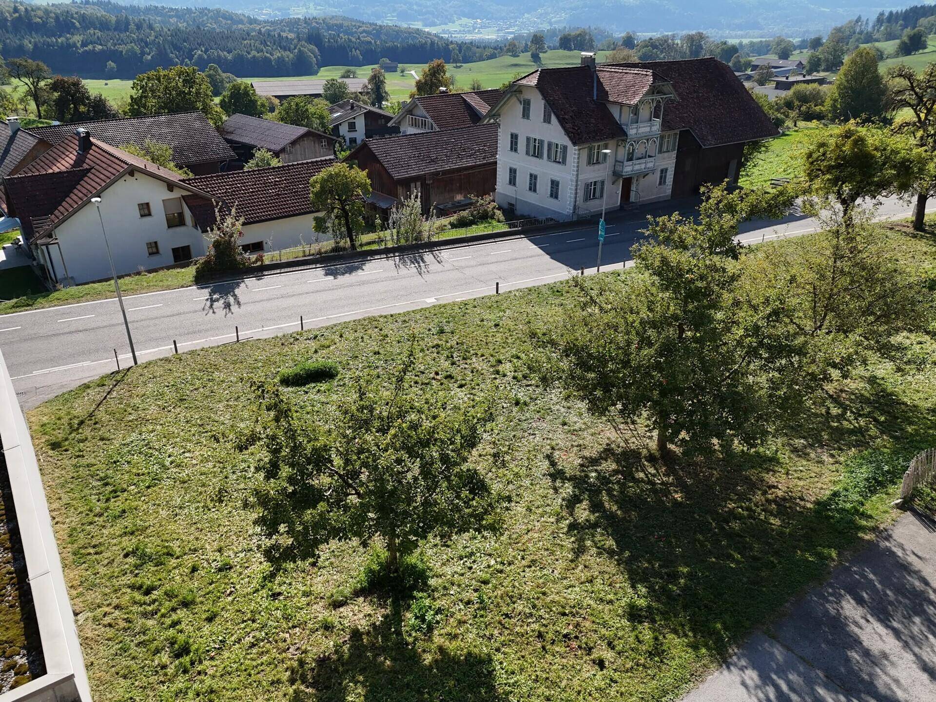 Blick auf eine grüne Fläche mit Bäumen, eine Straße und traditionelle Häuser in ländlicher Umgebung.