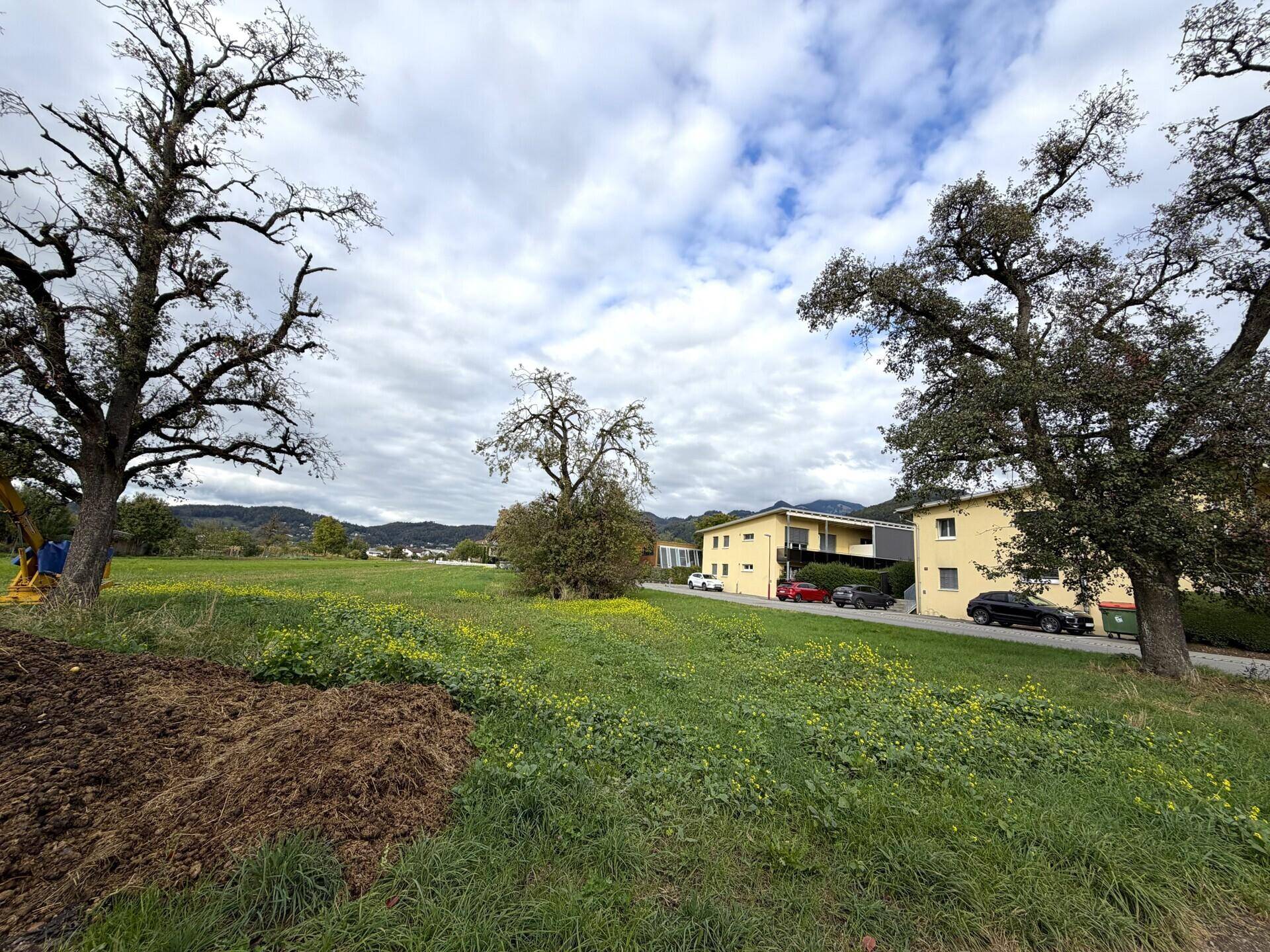 Weitläufiges grünes Grundstück mit Baumbestand und Blick auf umliegende Wohnhäuser und Berge.