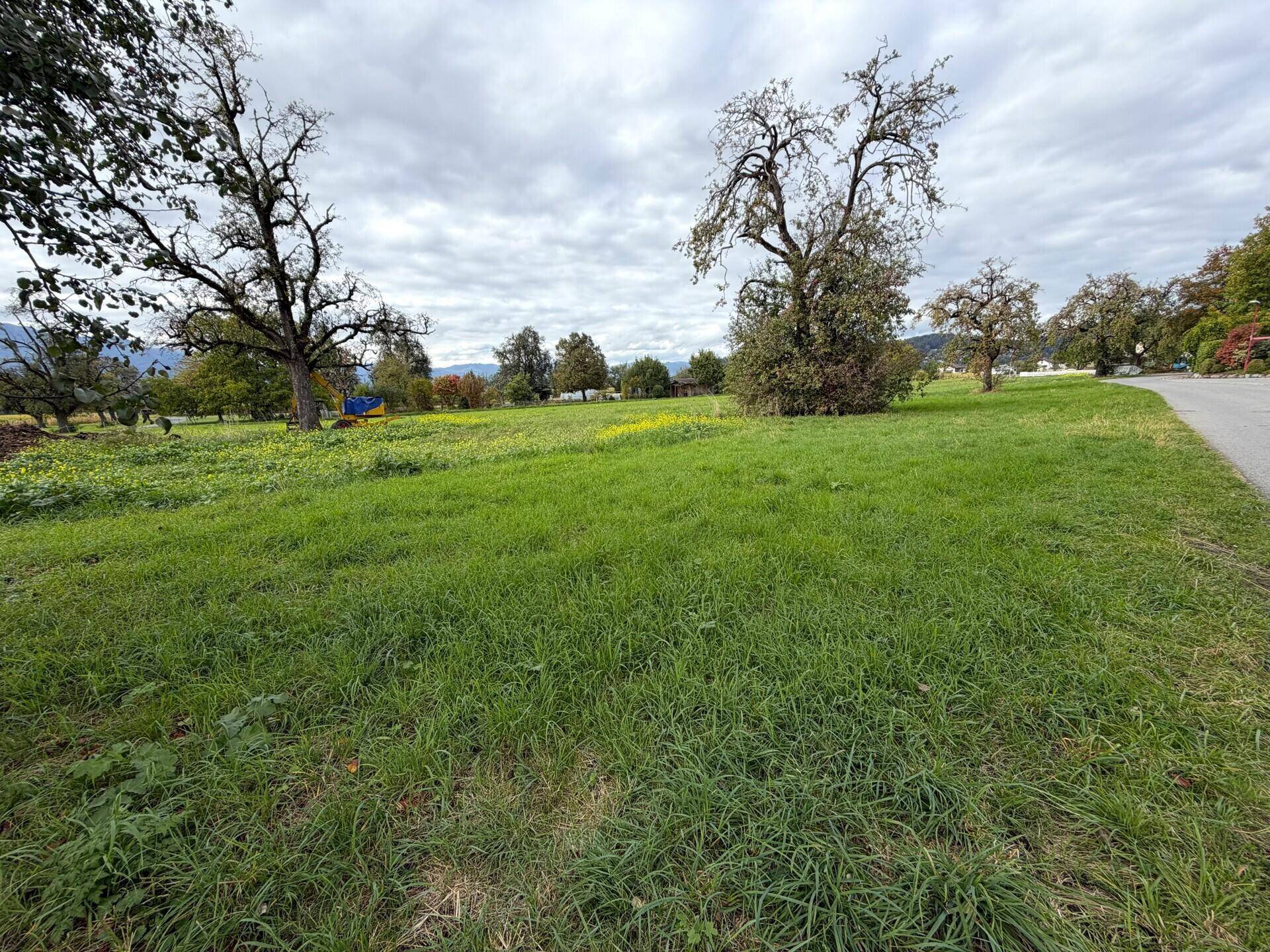 Weitläufige grüne Wiese mit alten Bäumen und Blick auf die umliegende Landschaft.