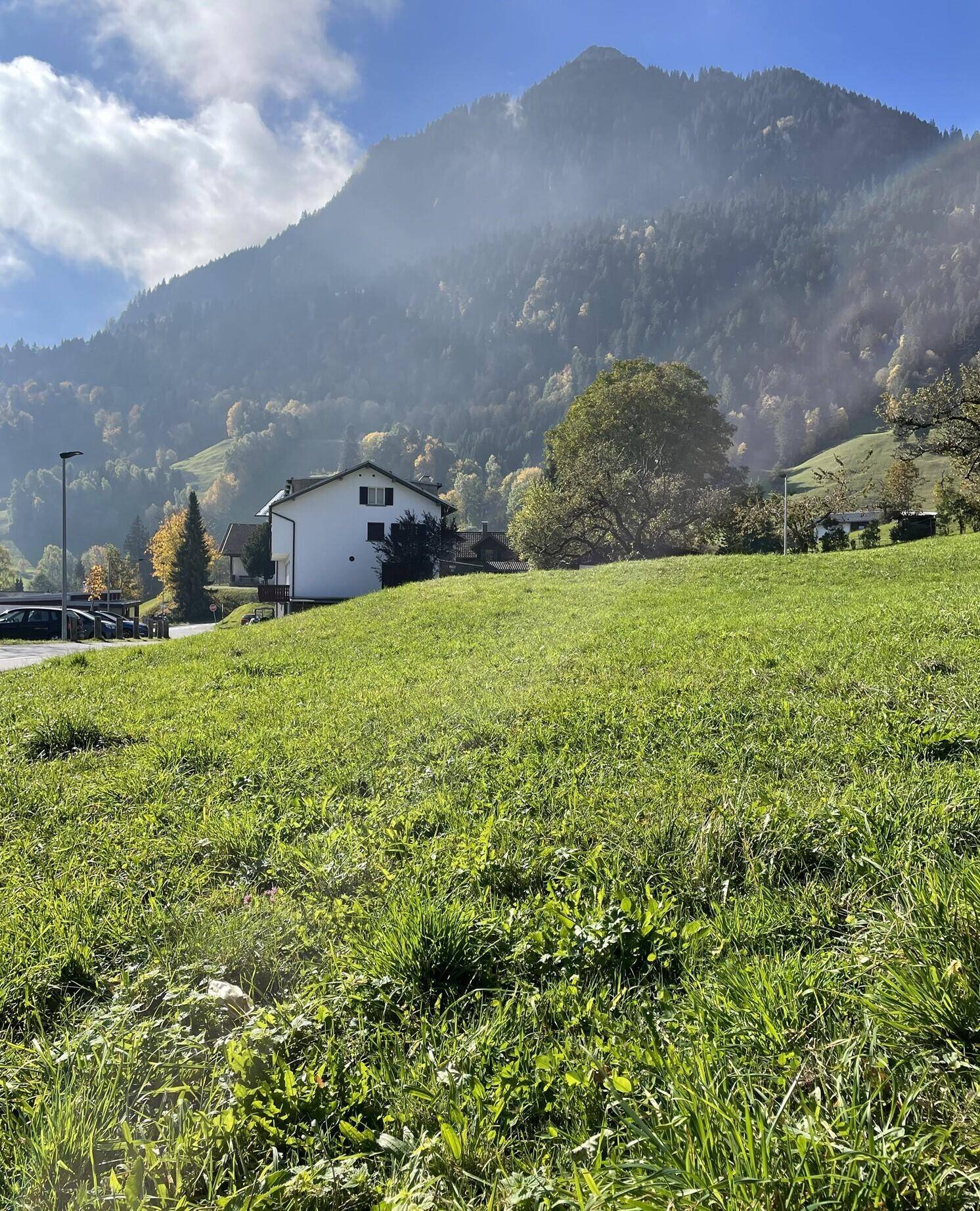 Grünes Hanggrundstück mit beeindruckendem Blick auf eine imposante Bergkette unter blauem Himmel und Sonnenschein.