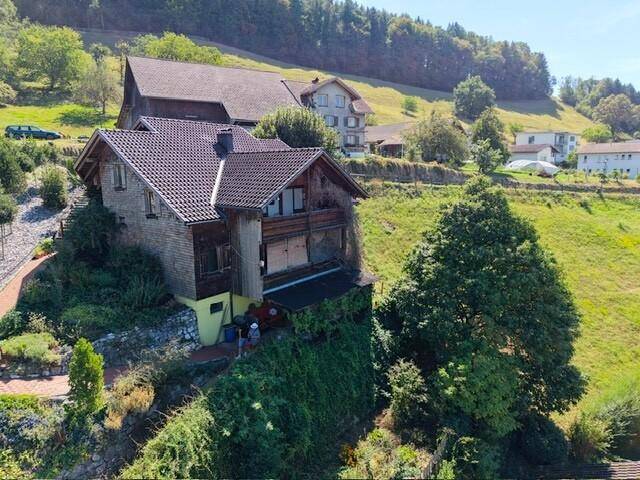 Seitenansicht des Hauses mit Holzfassade und Satteldach, gelegen an einem Hang mit viel Grün.