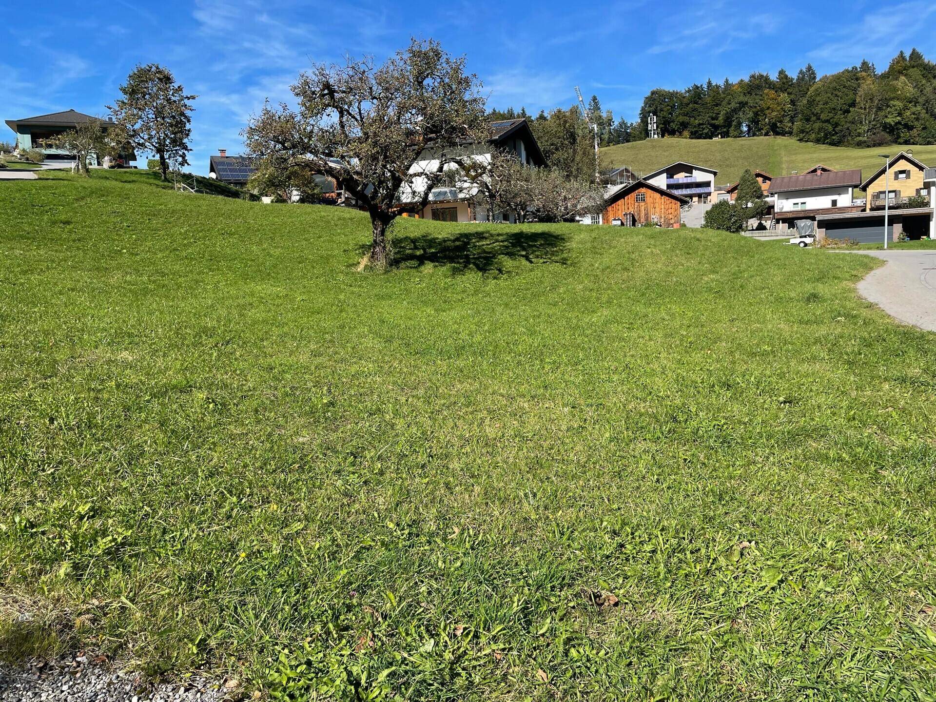 Idyllisches grünes Hanggrundstück mit vereinzelten Bäumen und Häusern im Hintergrund unter klarem Himmel.