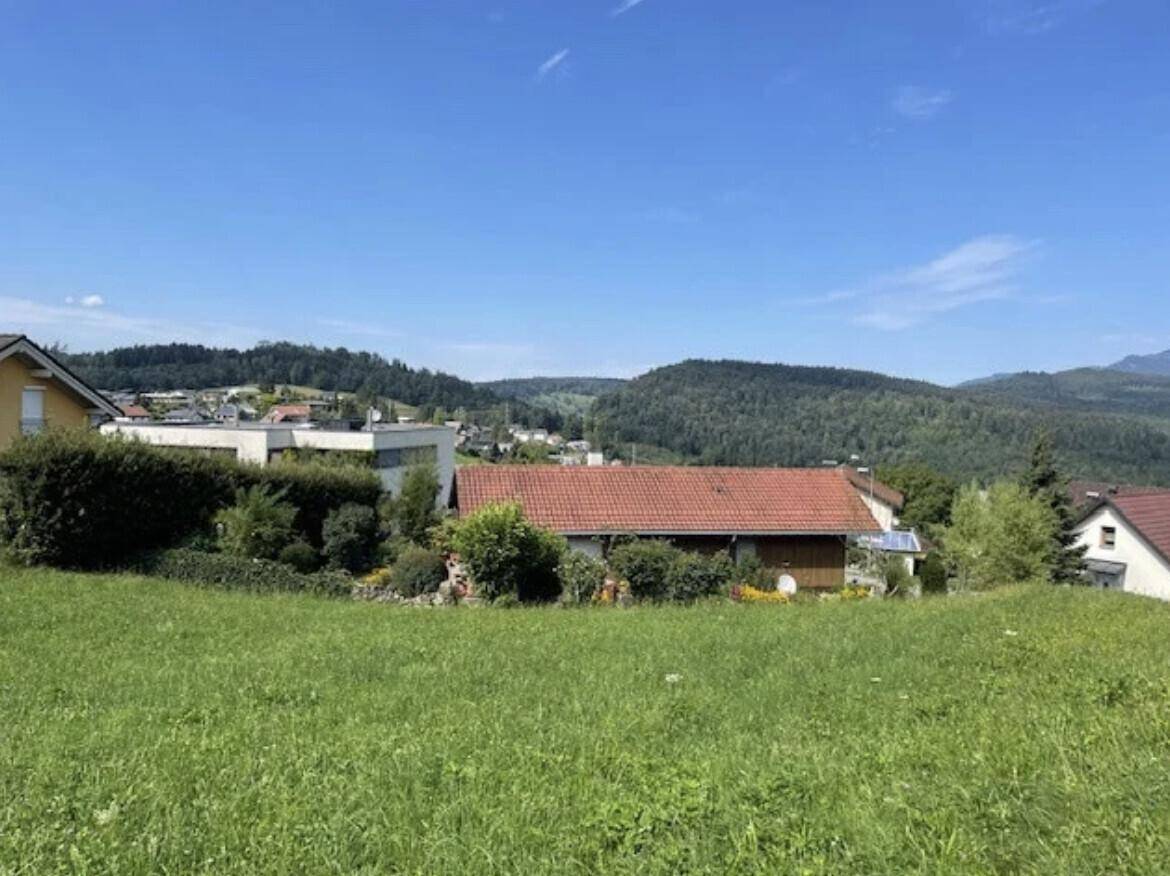Grüne Hügellandschaft mit Wohnhäusern und bewaldeten Bergen im Hintergrund unter klarem Himmel.