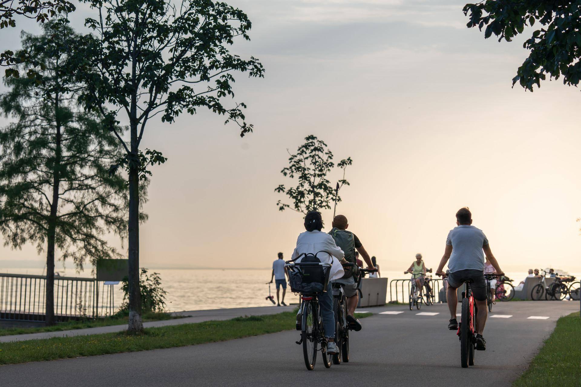 Fahrradweg entlang des Bodensees