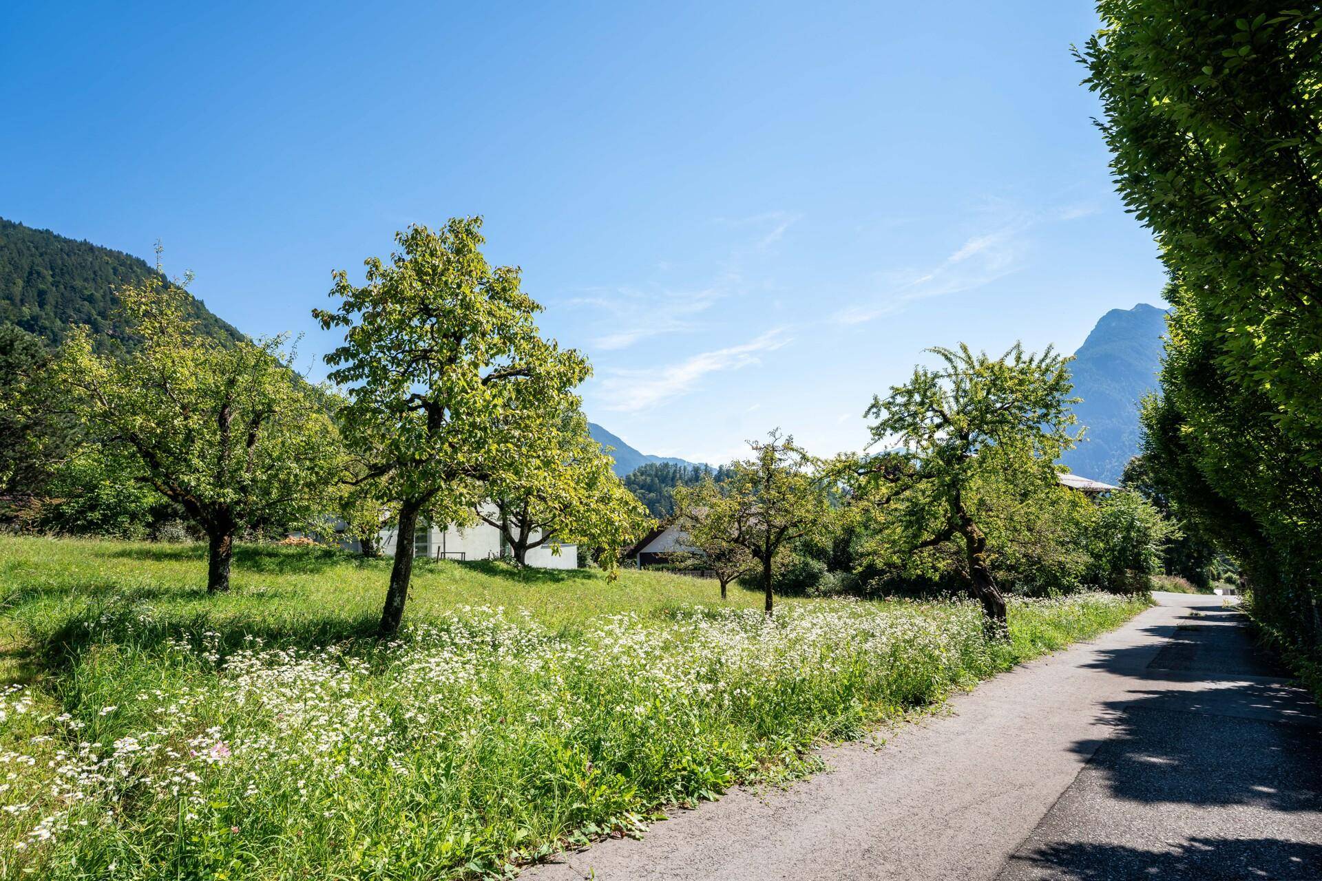 Zufahrt zum Grundstück