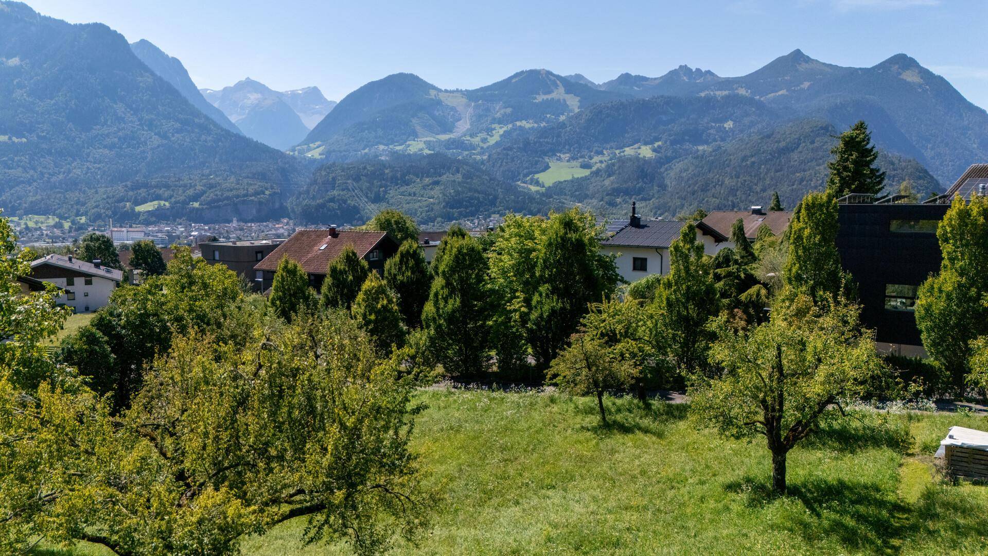 Grünes Baugrundstück mit Obstbäumen, umgeben von Wohnhäusern und einer beeindruckenden Bergkulisse.