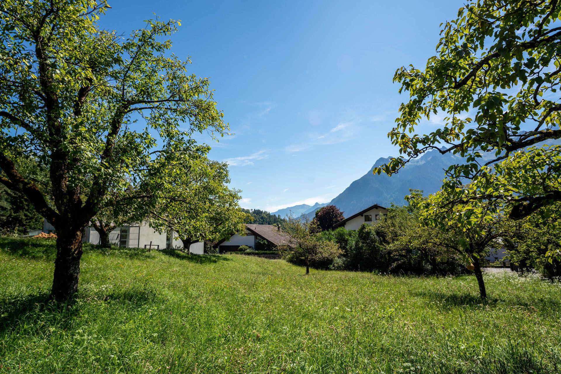 Bludenz Obdorf: Baugrundstück in exklusiver Lage - Ansicht 5