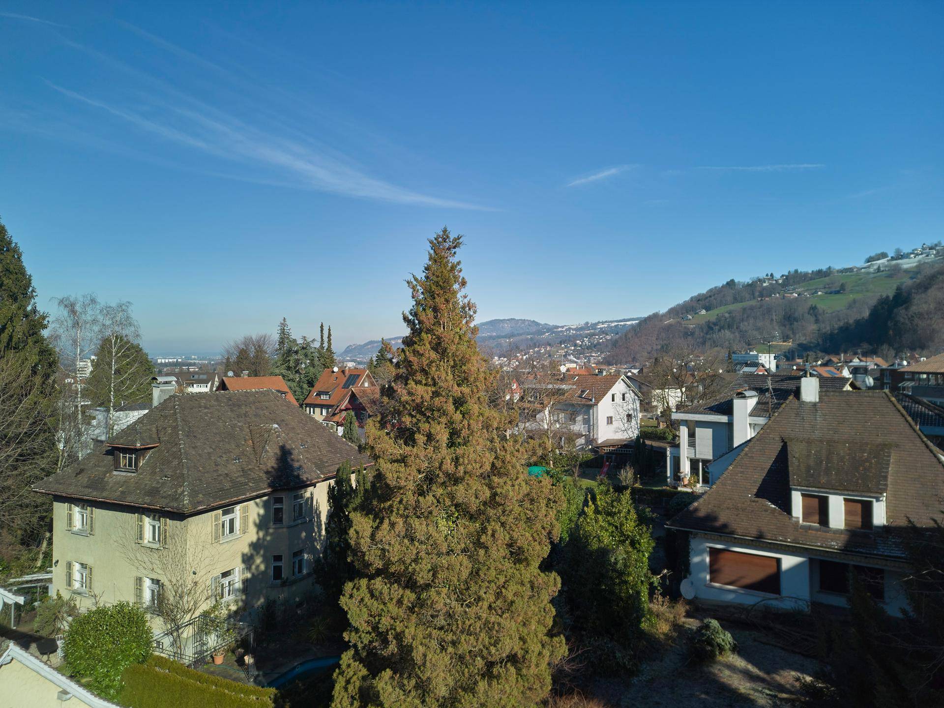 Luftaufnahme einer Wohngegend mit dichten Bäumen, Häusern und einer hügeligen Landschaft im Hintergrund.