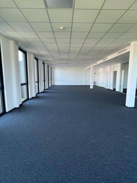 Langer, offener Büroraum mit durchgehenden Fenstern, grauem Teppichboden und abgehängter Decke.