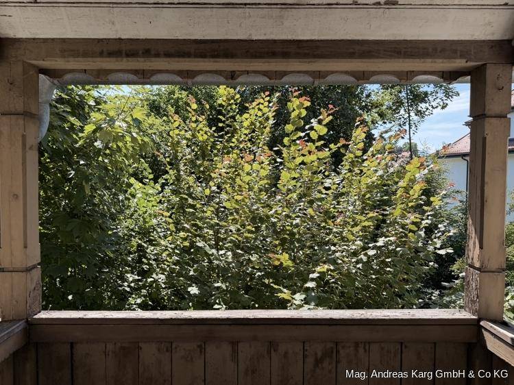 Blick vom Balkon ins Grüne mit üppiger Vegetation und sonniger Atmosphäre.