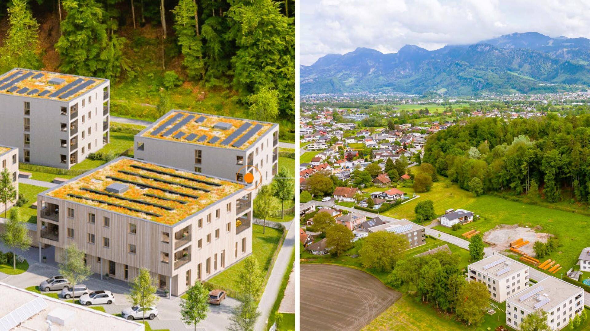 Luftaufnahme von modernen Wohngebäuden mit Gründächern und Solaranlagen in einer grünen Umgebung mit Bergblick.