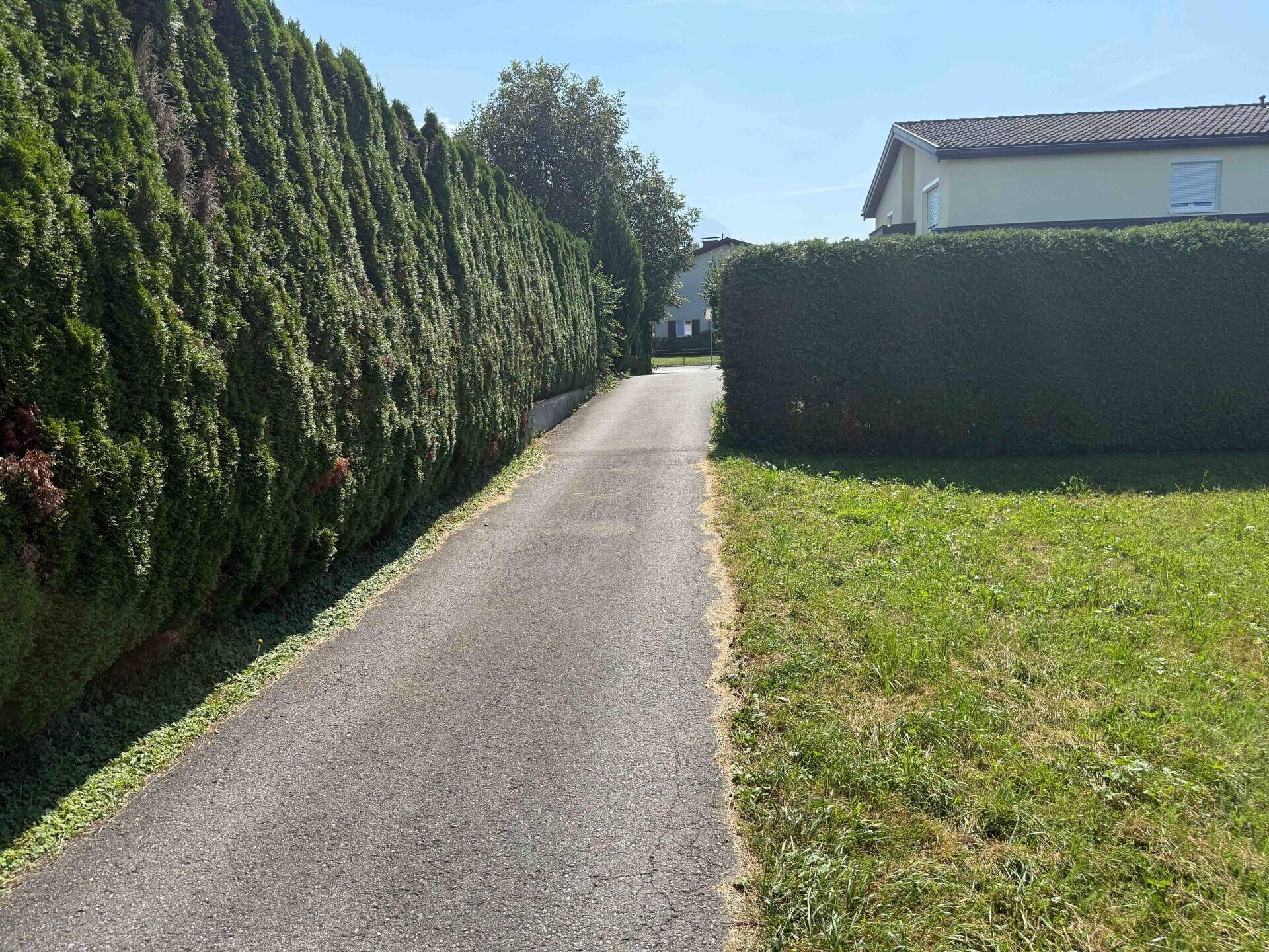 Zufahrt zu einem Grundstück, gesäumt von hohen, gepflegten Hecken unter blauem Himmel.
