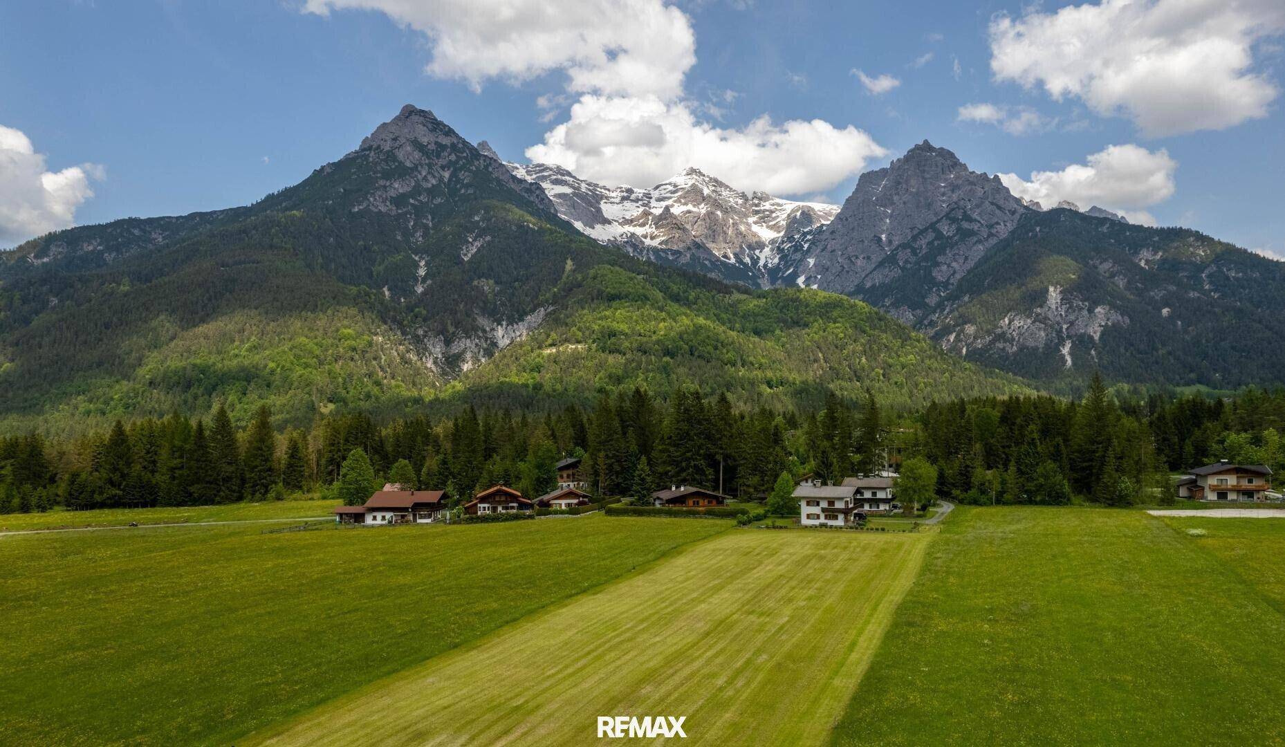 Weitläufige Landschaftsaufnahme mit grünen Wiesen, Wäldern und majestätischen Bergen im Hintergrund unter blauem Himmel.