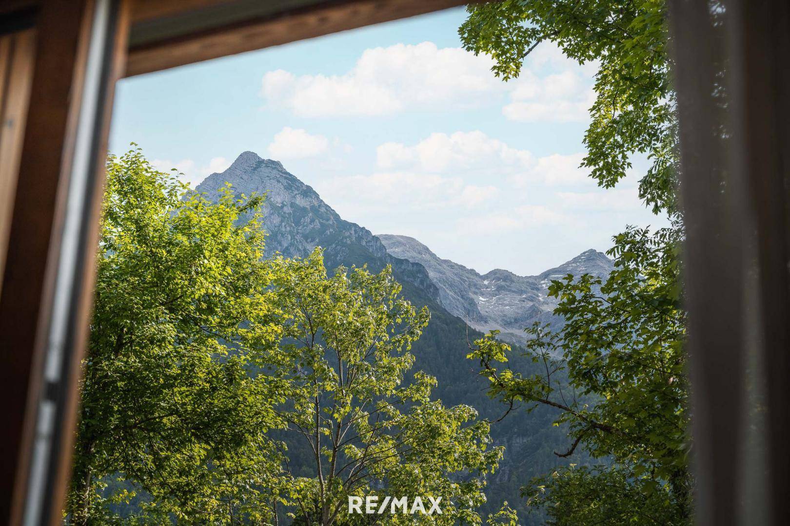 Ausblick