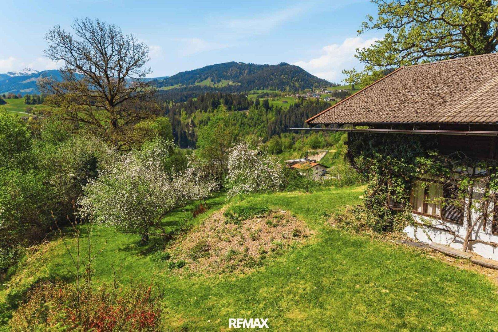 Ein Logenplatz im Brixental – seltenes Panoramagrundstück in ruhiger Aussichtslage - Ansicht 5