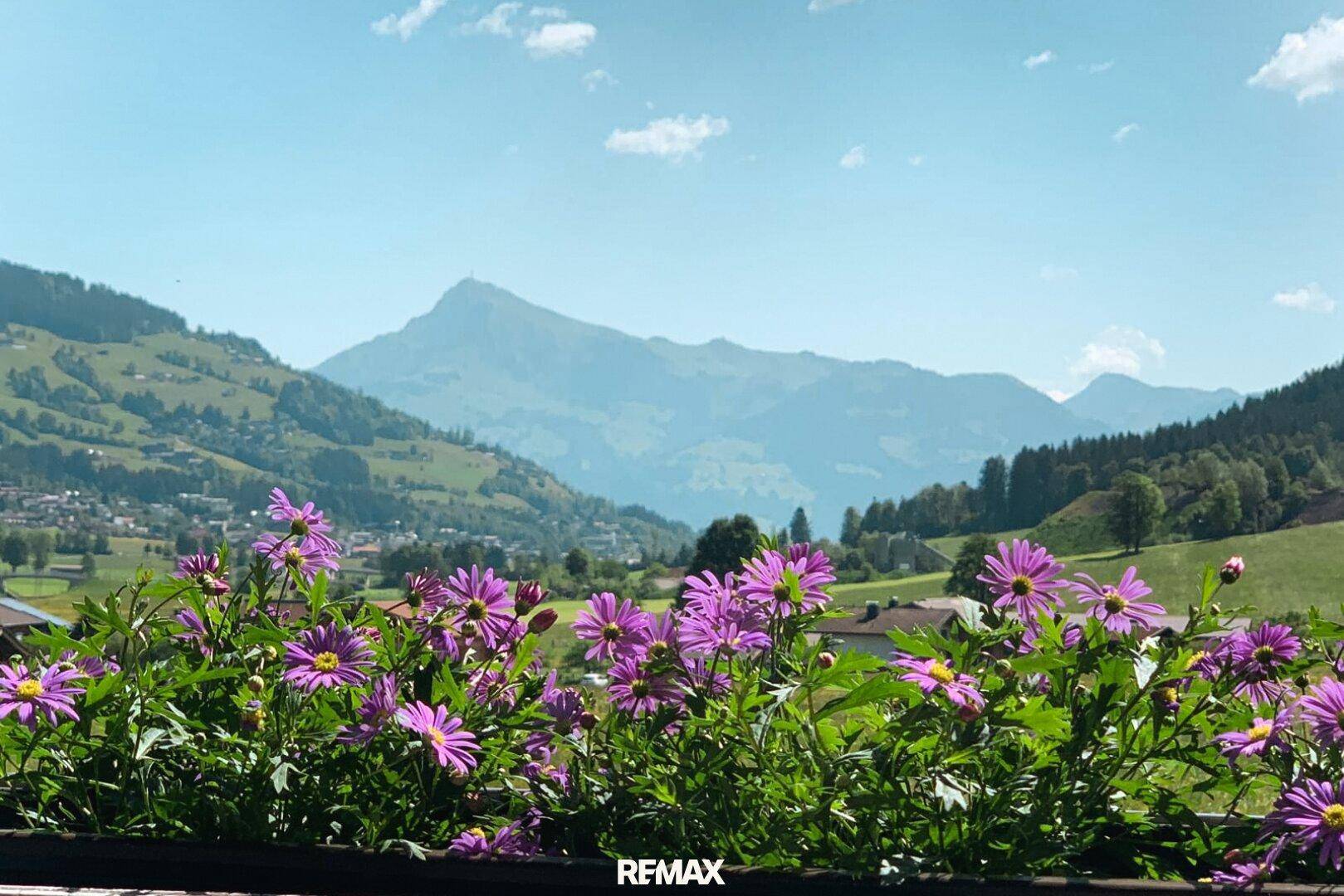 Ausblick Balkon