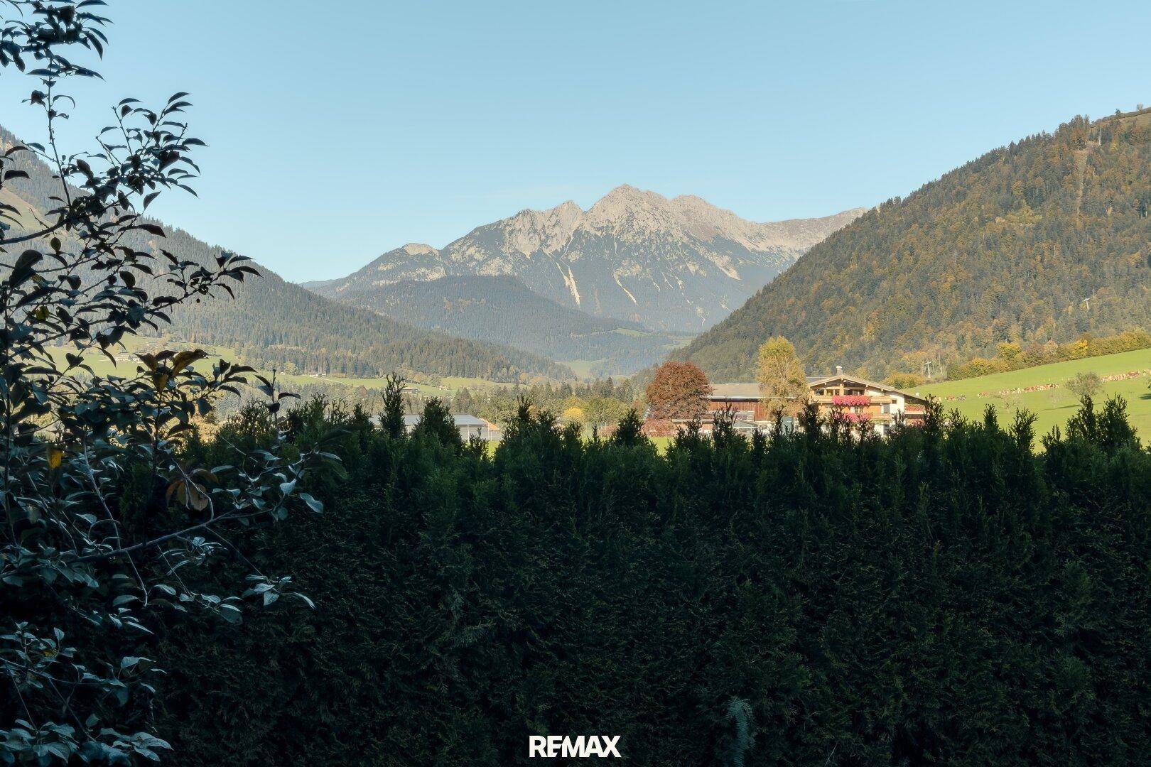 Blick Garten
