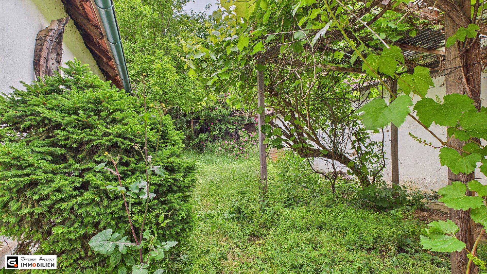Wild bewachsener Gartenbereich mit vielen Bäumen und dichtem Grün, das viel Privatsphäre bietet.