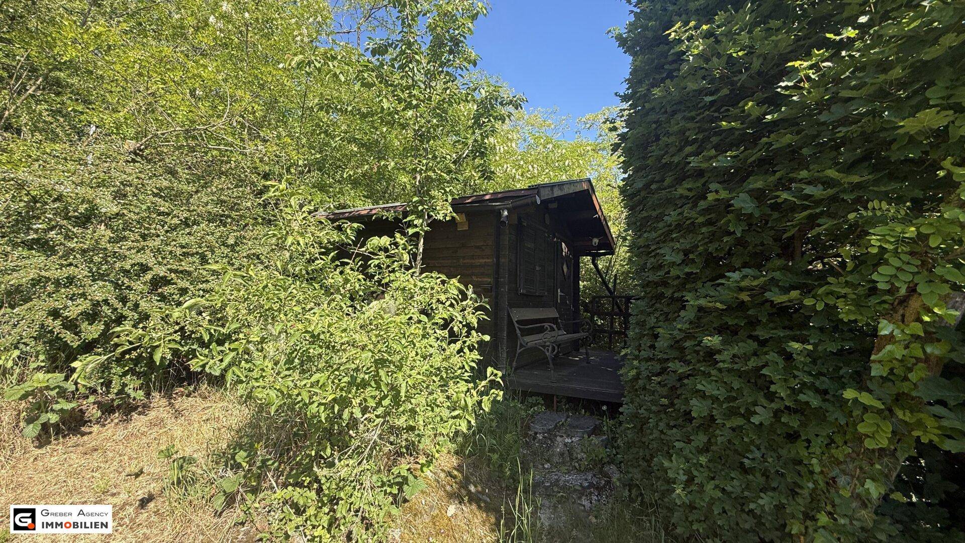 Kleines Holzgebäude, umgeben von dichtem Grün und Bäumen, bietet Rückzug und Stauraum.