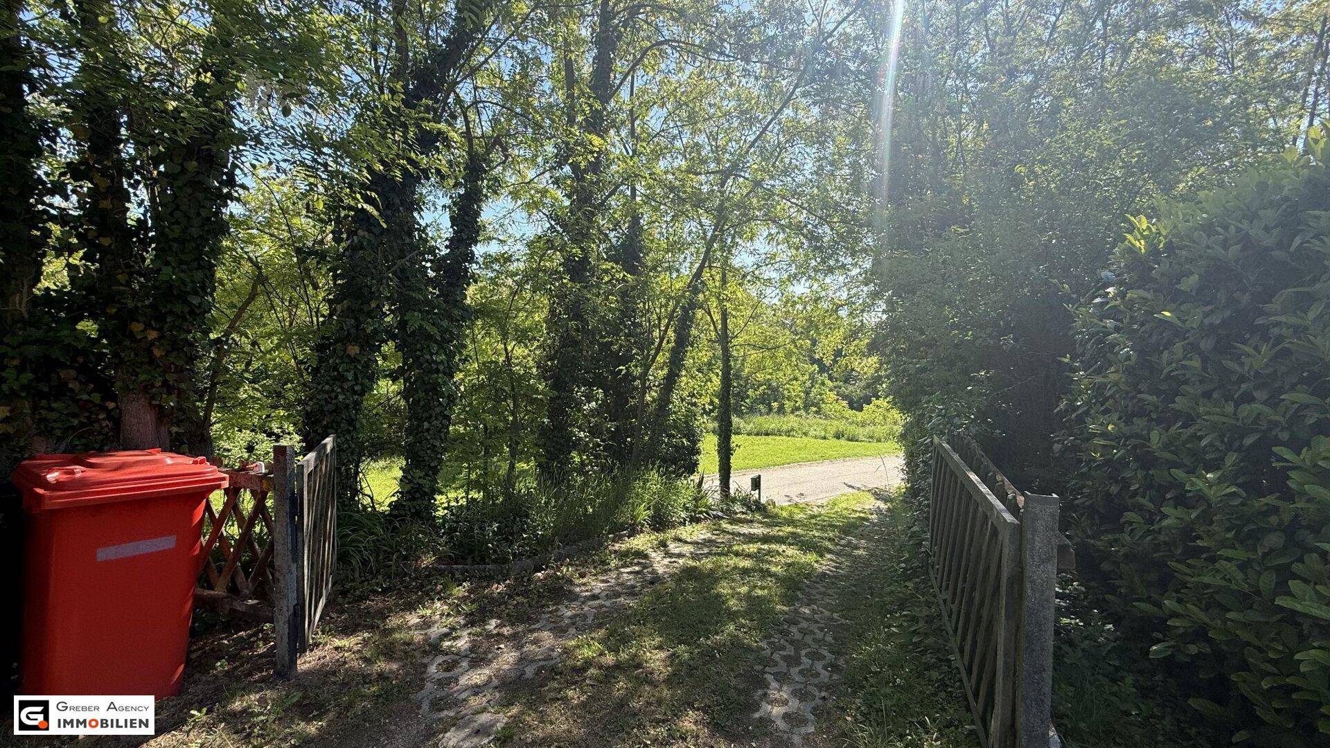 Schmaler Weg zum Grundstück, umgeben von dichtem Grün und einem roten Mülleimer.