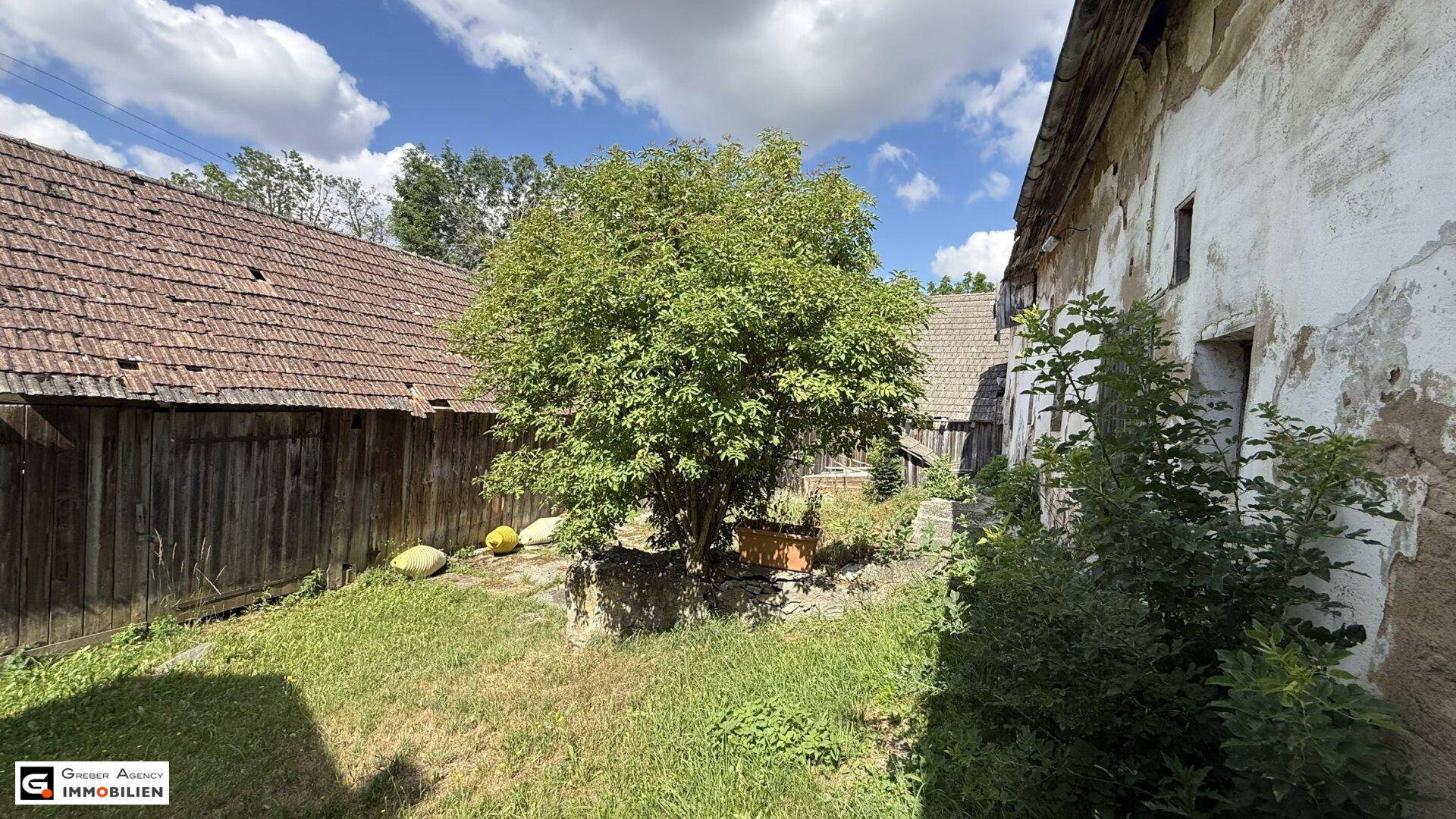 Sonniger Gartenbereich mit einem Baum und den Fassaden alter, rustikaler Gebäude.