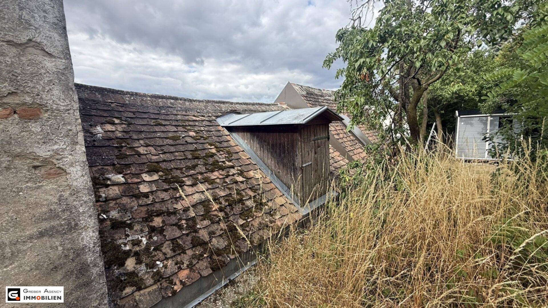 Altes Ziegeldach mit Moosbewuchs und einer kleinen Holzgaube, umgeben von üppiger Vegetation.