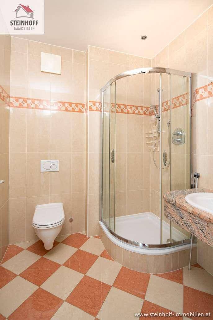 Badezimmer mit Toilette, Duschkabine und Waschtisch, ausgestattet mit gemusterten Fliesen.