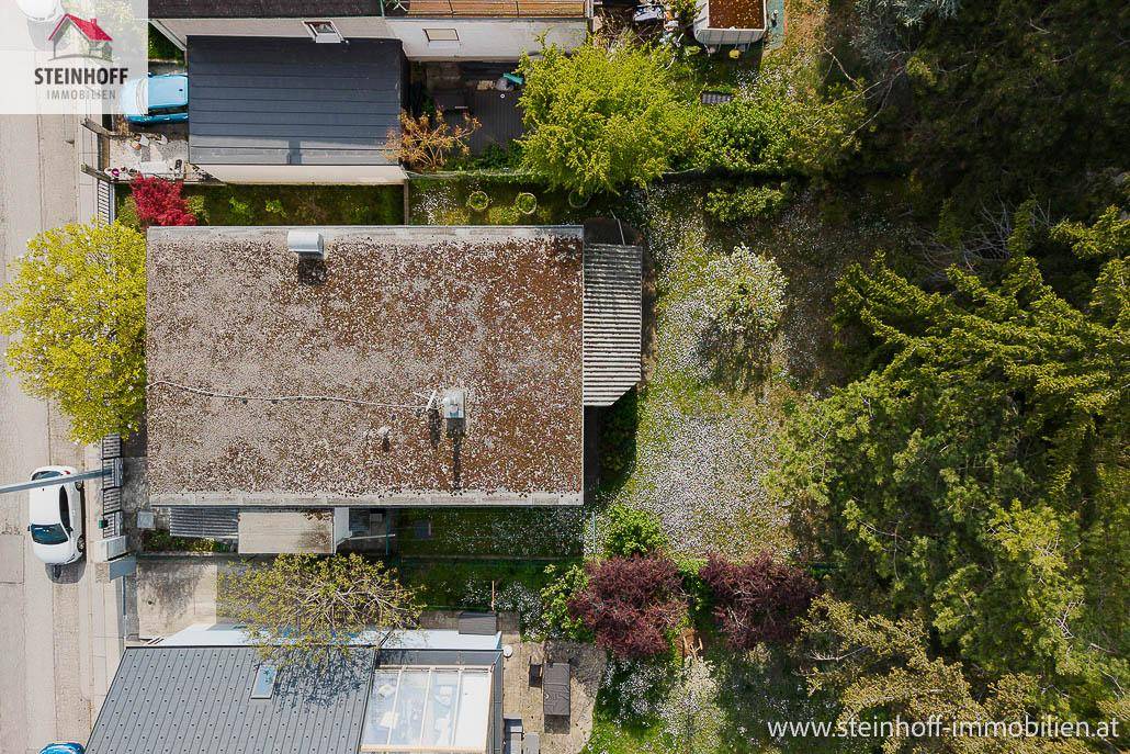 Luftaufnahme des Grundstücks mit Haus, Garten und umliegenden Bäumen.
