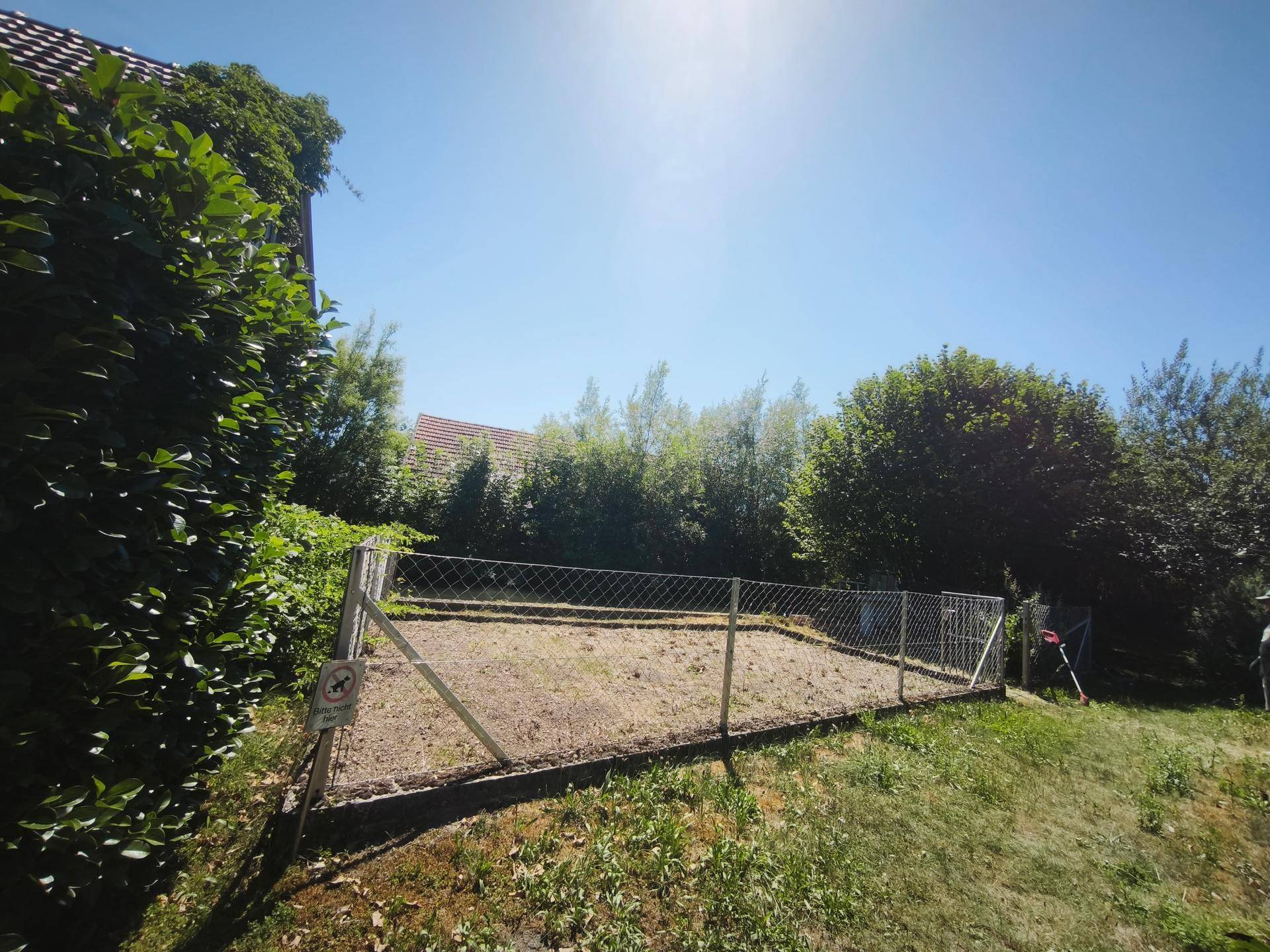 Sonniges Gartengrundstück mit Zaun und üppiger Vegetation im Hintergrund unter blauem Himmel.