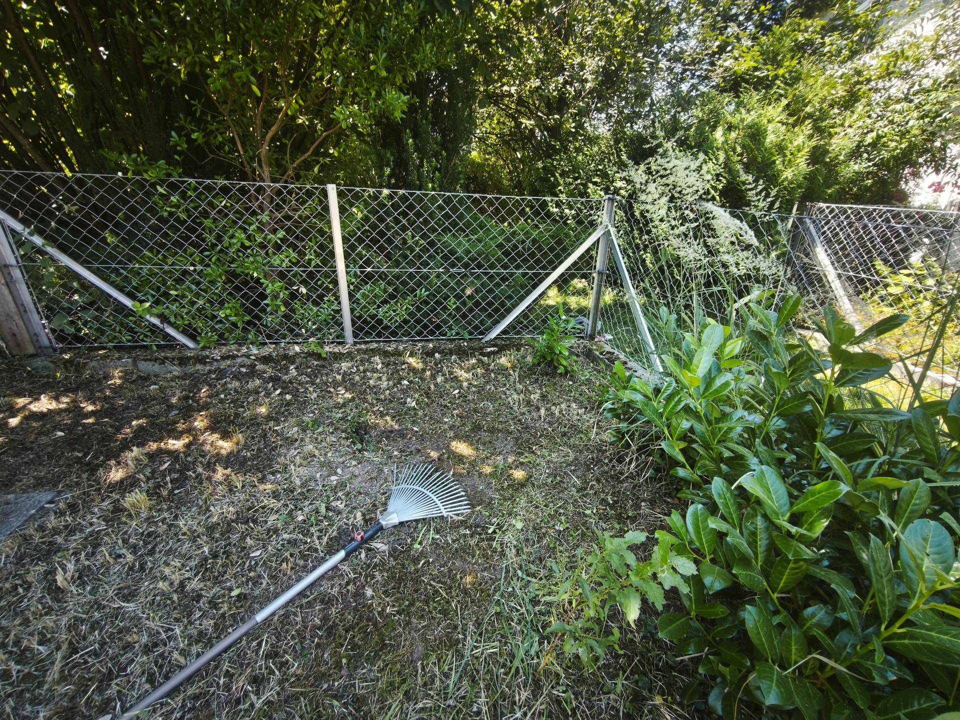 Eingezäunter Gartenbereich mit einer Harke und dichten Büschen im Hintergrund.