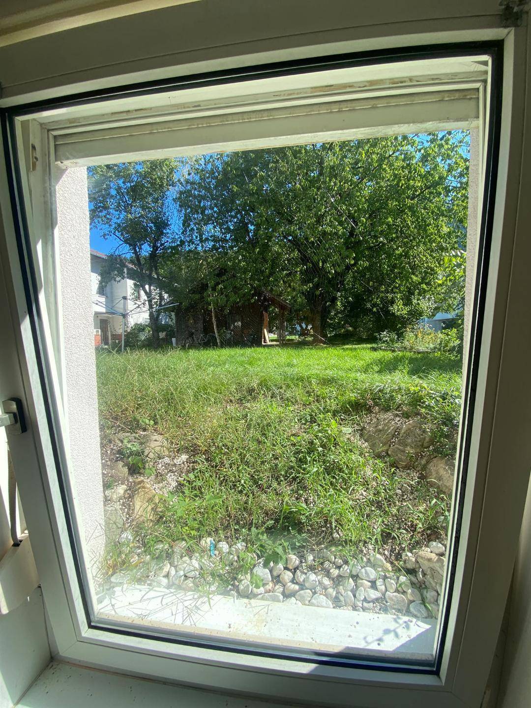Heller Blick aus dem Fenster auf einen grünen Gartenbereich mit Bäumen und viel Natur.