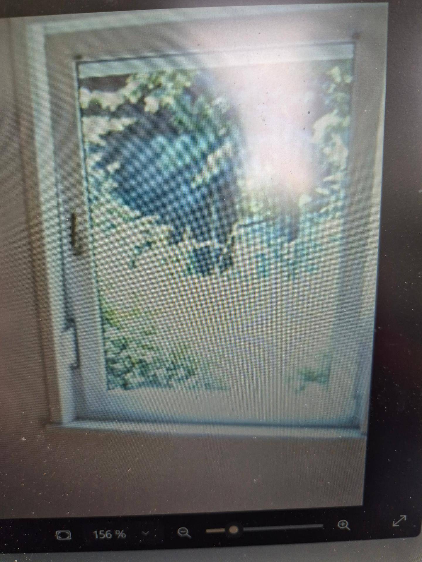 Nahaufnahme eines Fensters mit Blick auf Bäume und viel natürliches Licht.