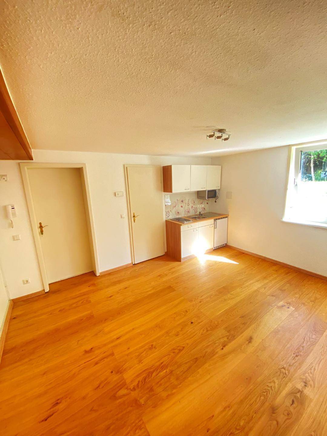 Freundlicher Wohnbereich mit Holzboden und kleiner Küchenzeile, ideal für ein Studio-Apartment.