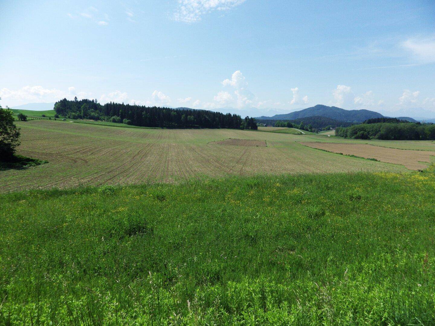 Blick Richtung Süden