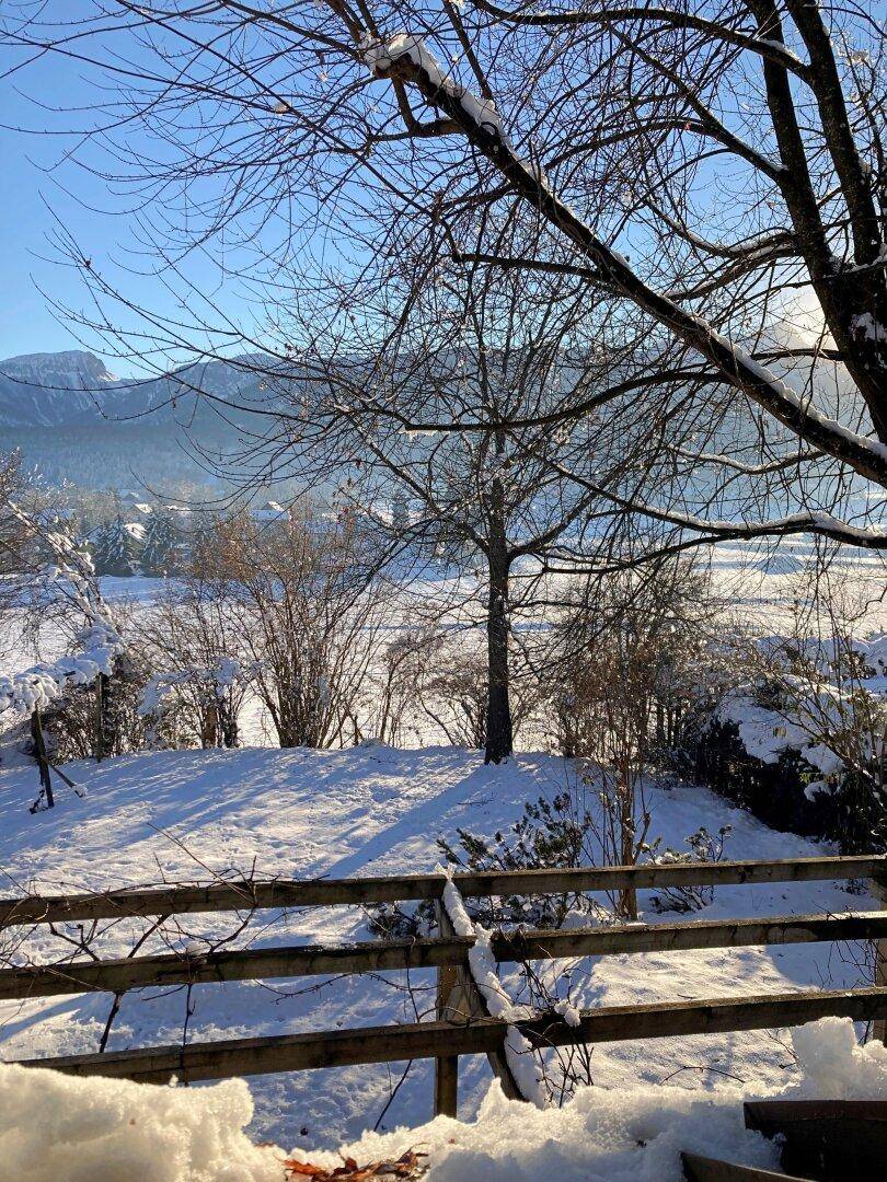 Gartenansicht im Winter