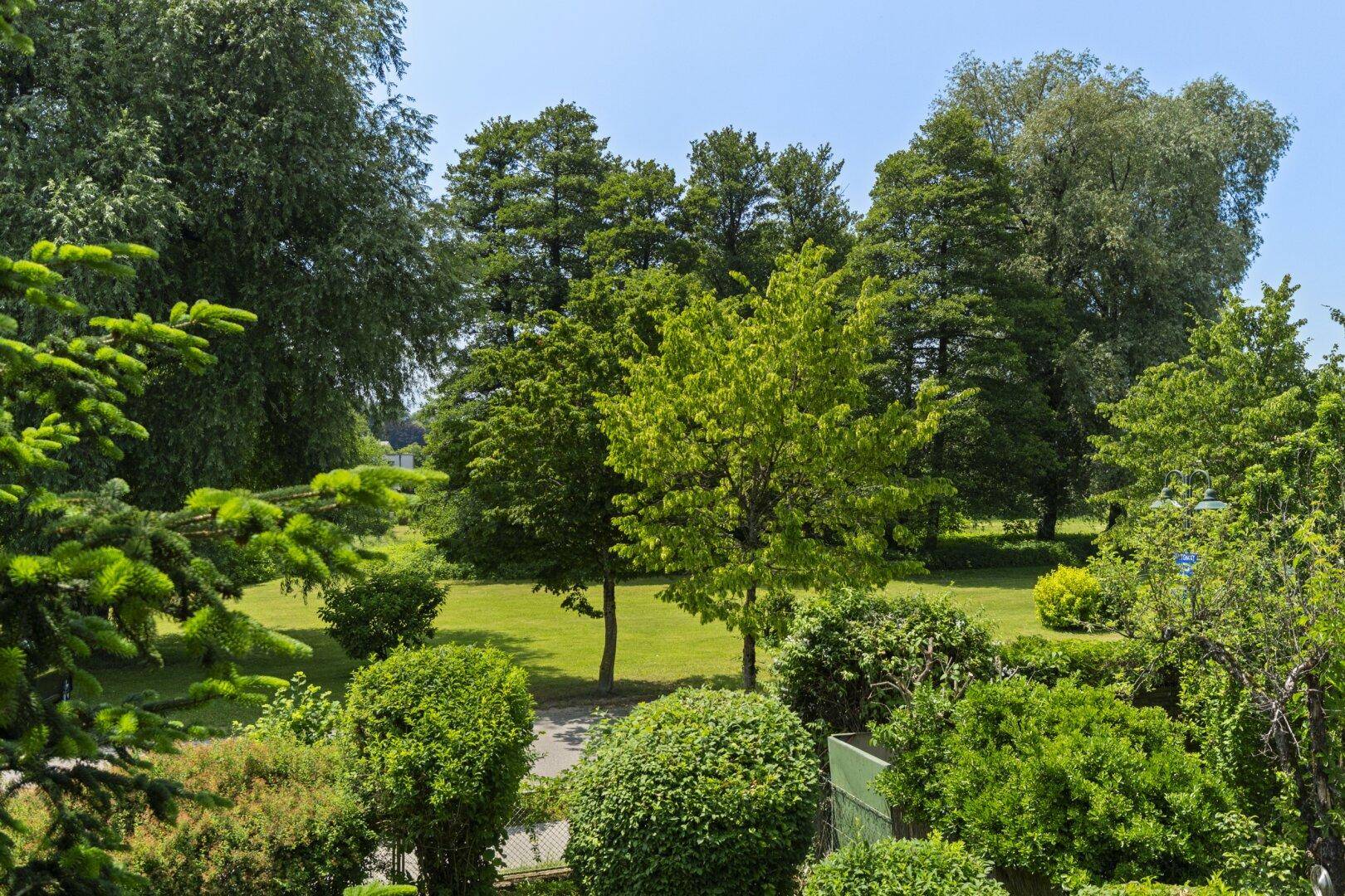 Grünblick