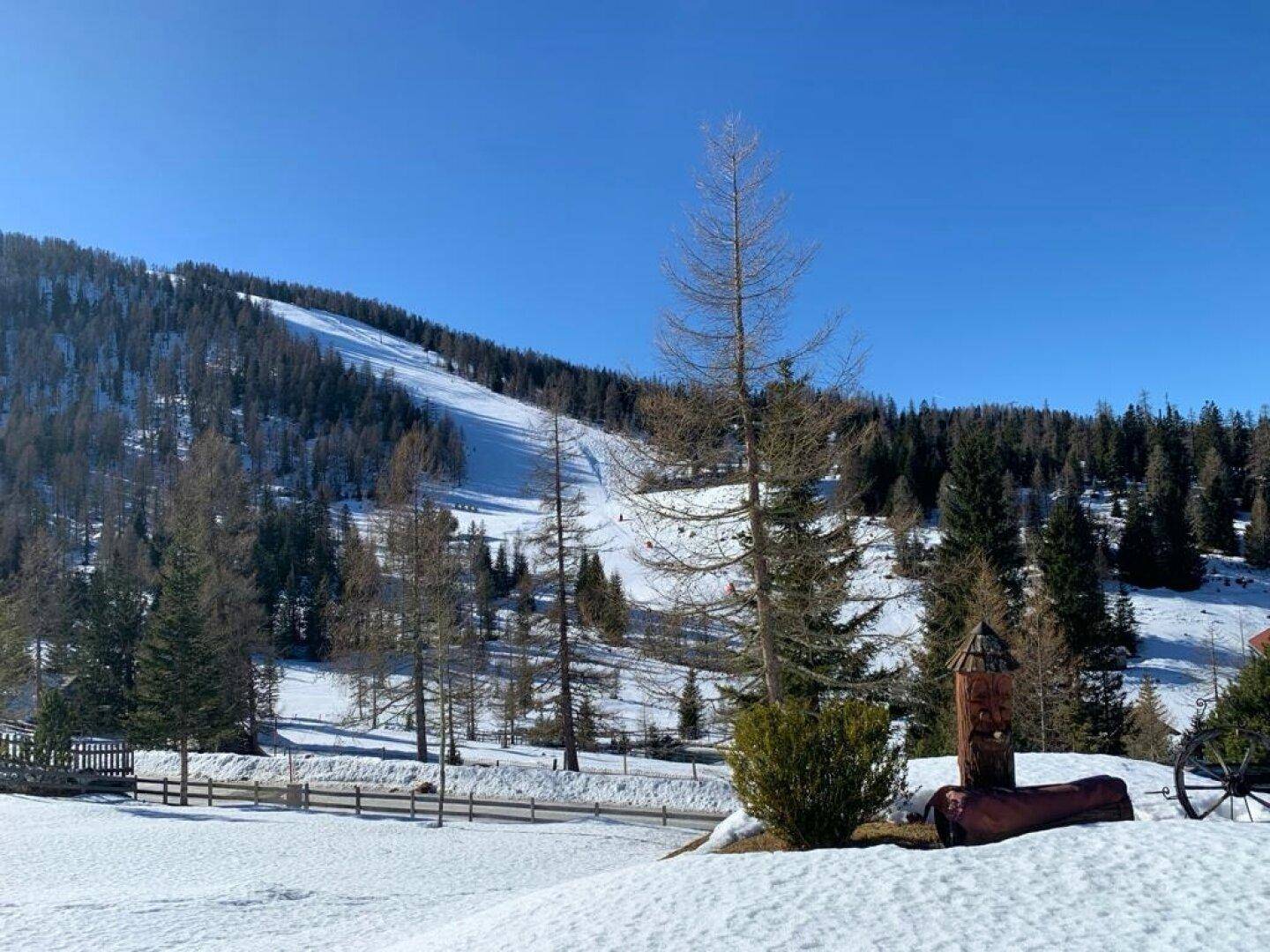 Blick auf die Skipiste aus dem Garten