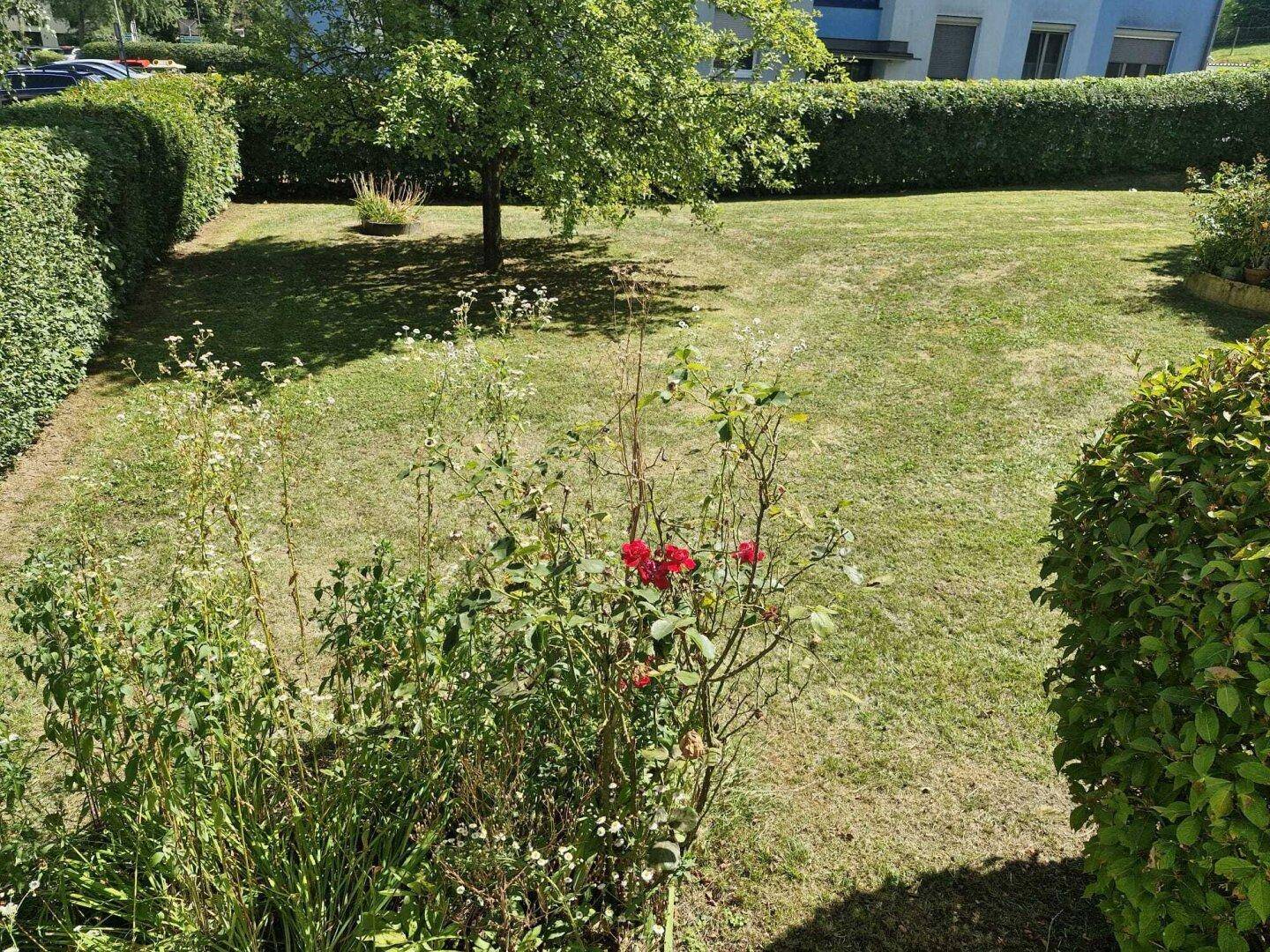allgemeine Grünfläche