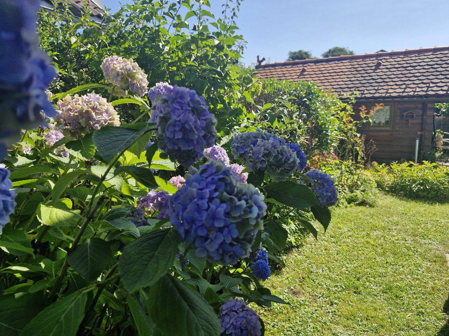 Gartendetail
