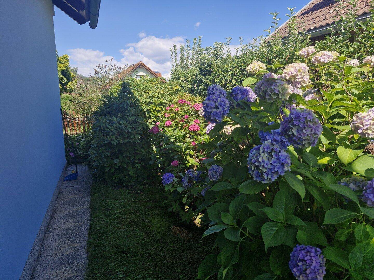 Gartendetail