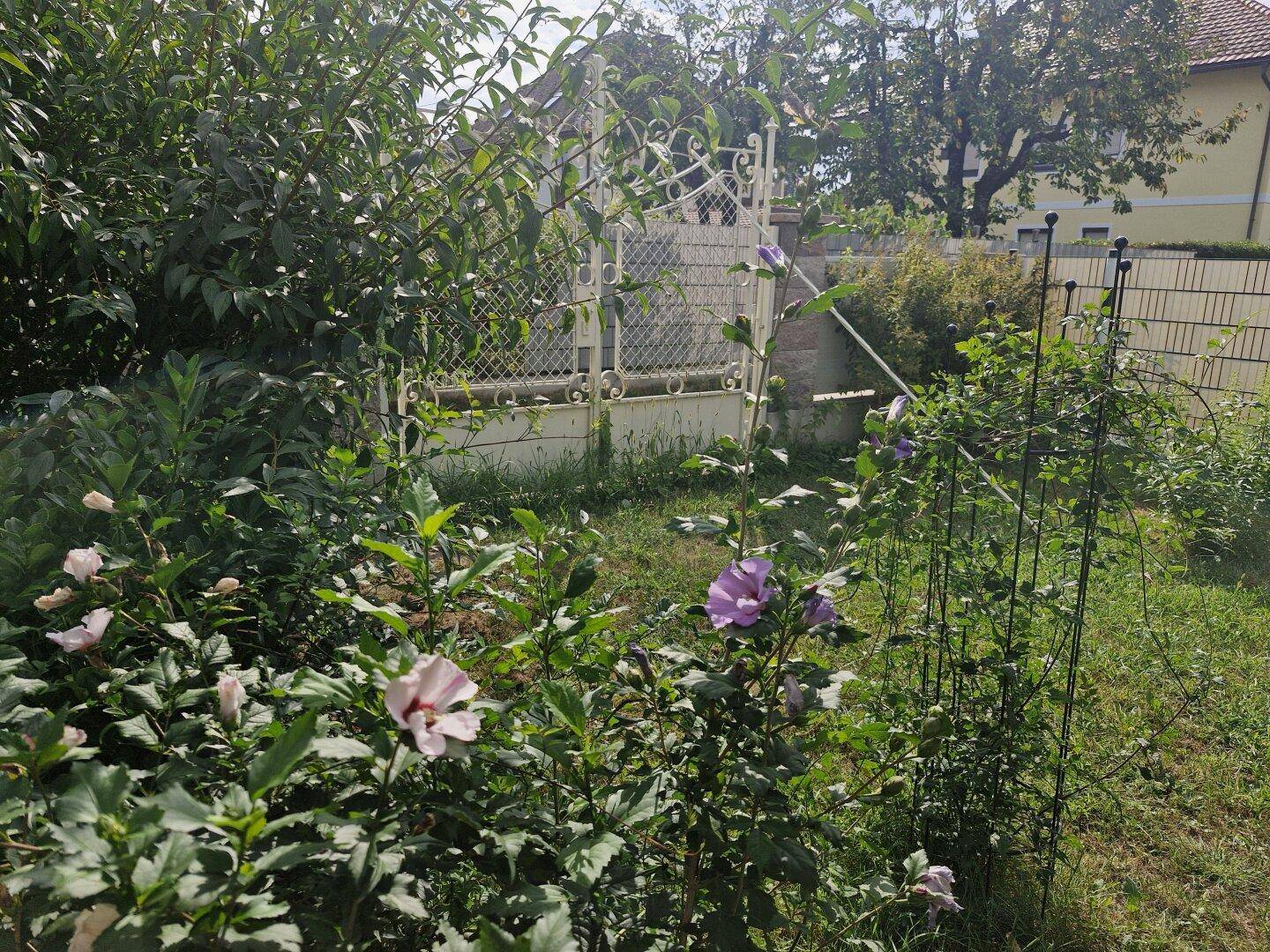 Gartendetail