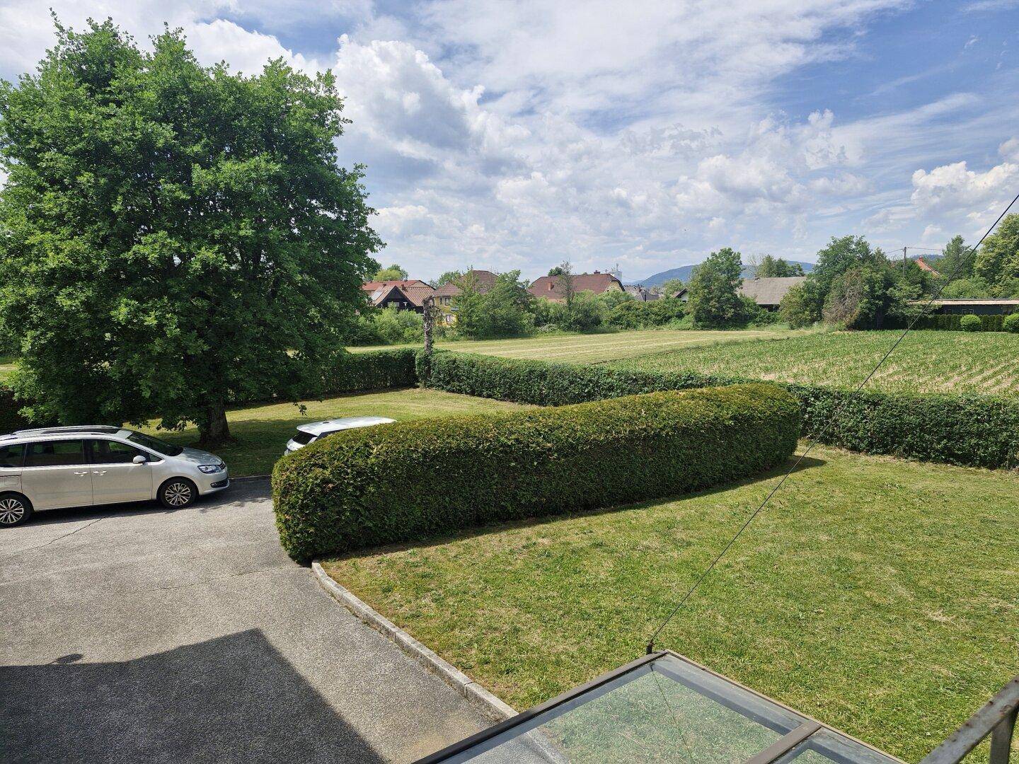 nordwestlicher Gartenbereich
